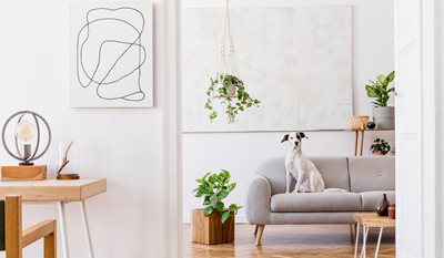 LJH-spring-campaign_stock-image